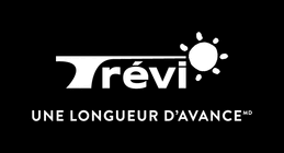 Magasins Tr�vi inc