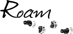 Roam Transit