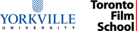 Yorkville University