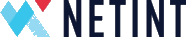 NETINT Technologies Inc.